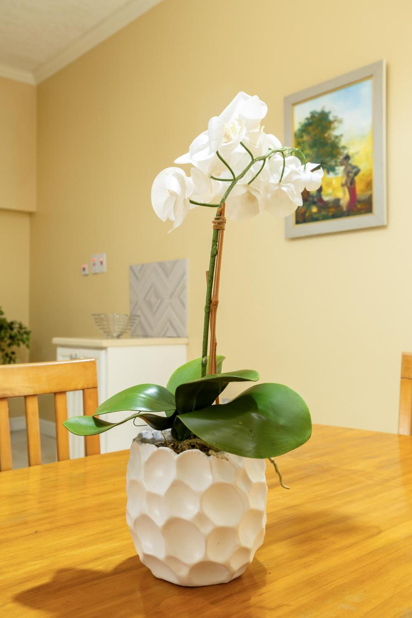 Choose To Be Happy At The Westbury - Two Bedroom Apartment Kingston Eksteriør bilde